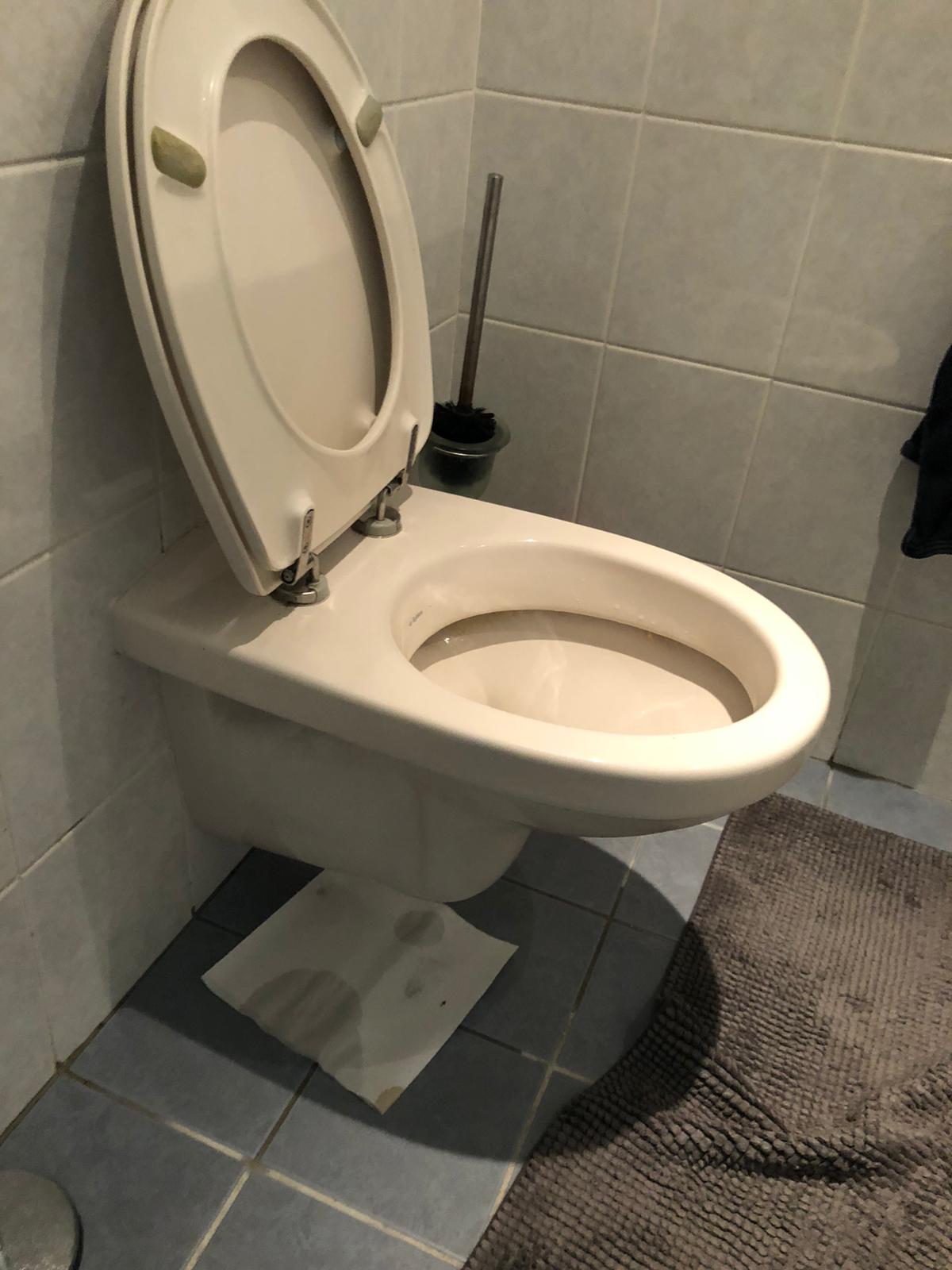 hangtoilet Brummen